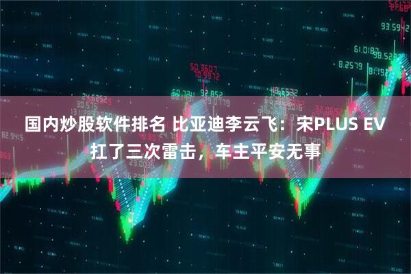 国内炒股软件排名 比亚迪李云飞：宋PLUS EV扛了三次雷击，车主平安无事