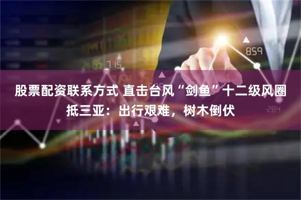 股票配资联系方式 直击台风“剑鱼”十二级风圈抵三亚：出行艰难，树木倒伏