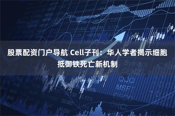 股票配资门户导航 Cell子刊：华人学者揭示细胞抵御铁死亡新机制