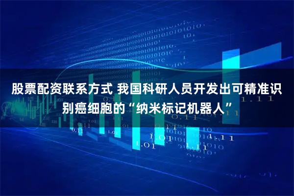 股票配资联系方式 我国科研人员开发出可精准识别癌细胞的“纳米标记机器人”