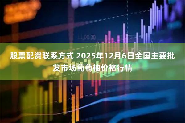 股票配资联系方式 2025年12月6日全国主要批发市场葡萄柚价格行情