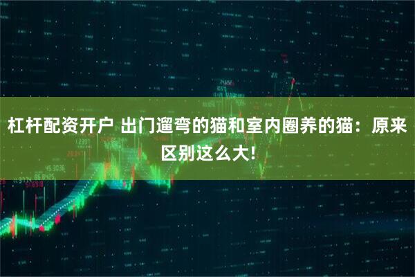 杠杆配资开户 出门遛弯的猫和室内圈养的猫：原来区别这么大!