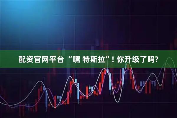 配资官网平台 “嘿 特斯拉”! 你升级了吗?