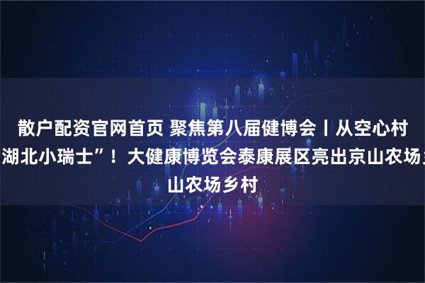 散户配资官网首页 聚焦第八届健博会丨从空心村到“湖北小瑞士”!大健康博览会泰康展区亮出京山农场乡村